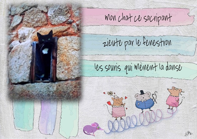 mon chat ce sacripan.jpg