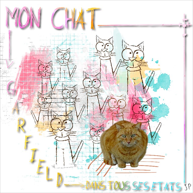 mon chat Garfield dans tous ses états.jpg