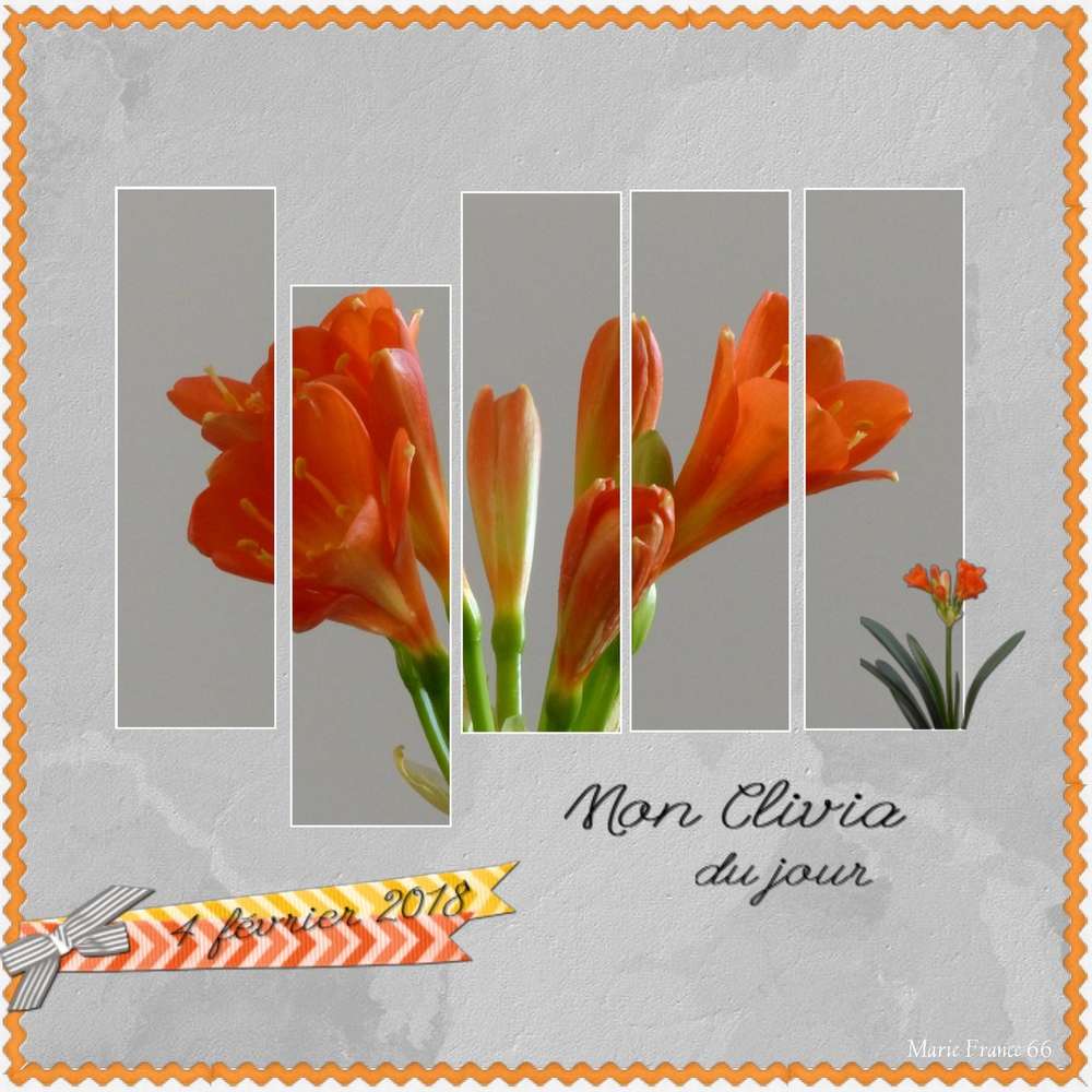 MON CLIVIA
