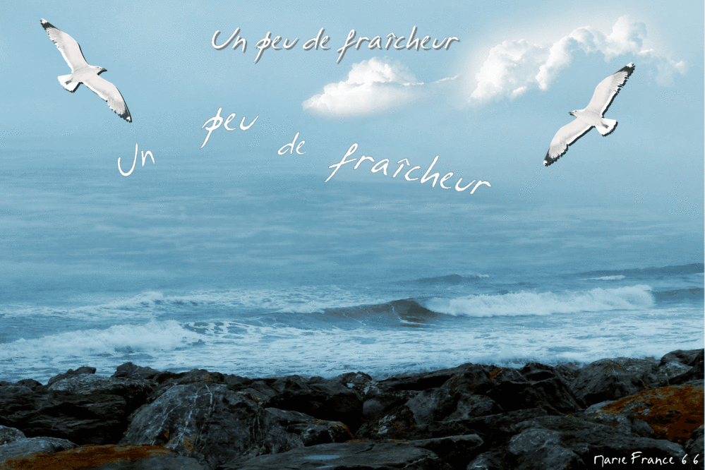 Mon essai gif du jour