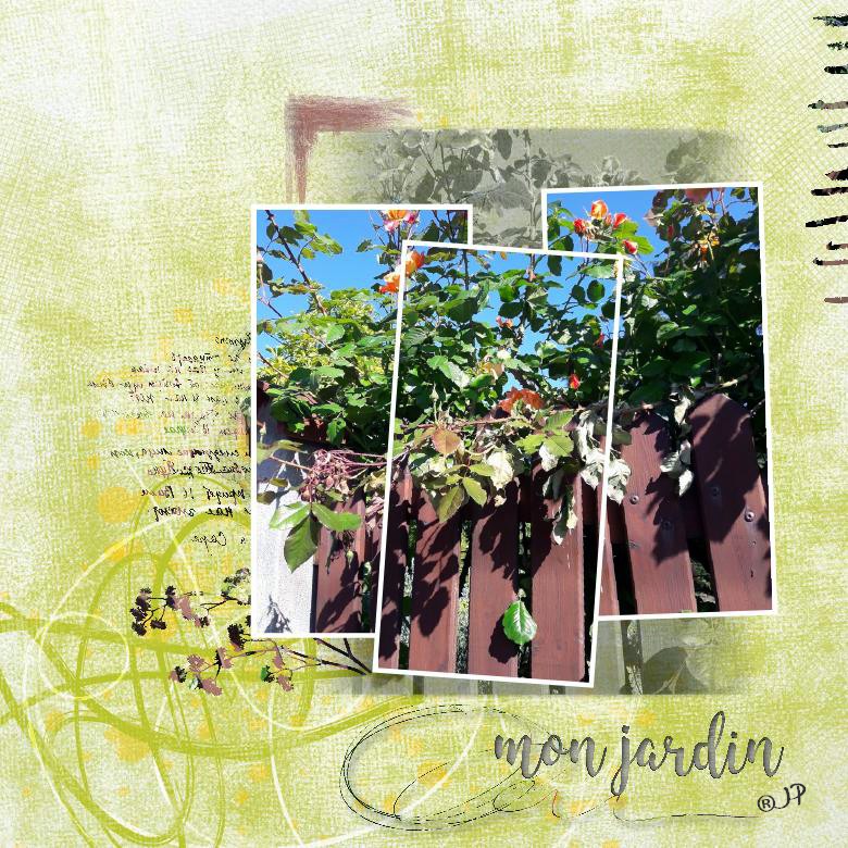 mon jardin.jpg