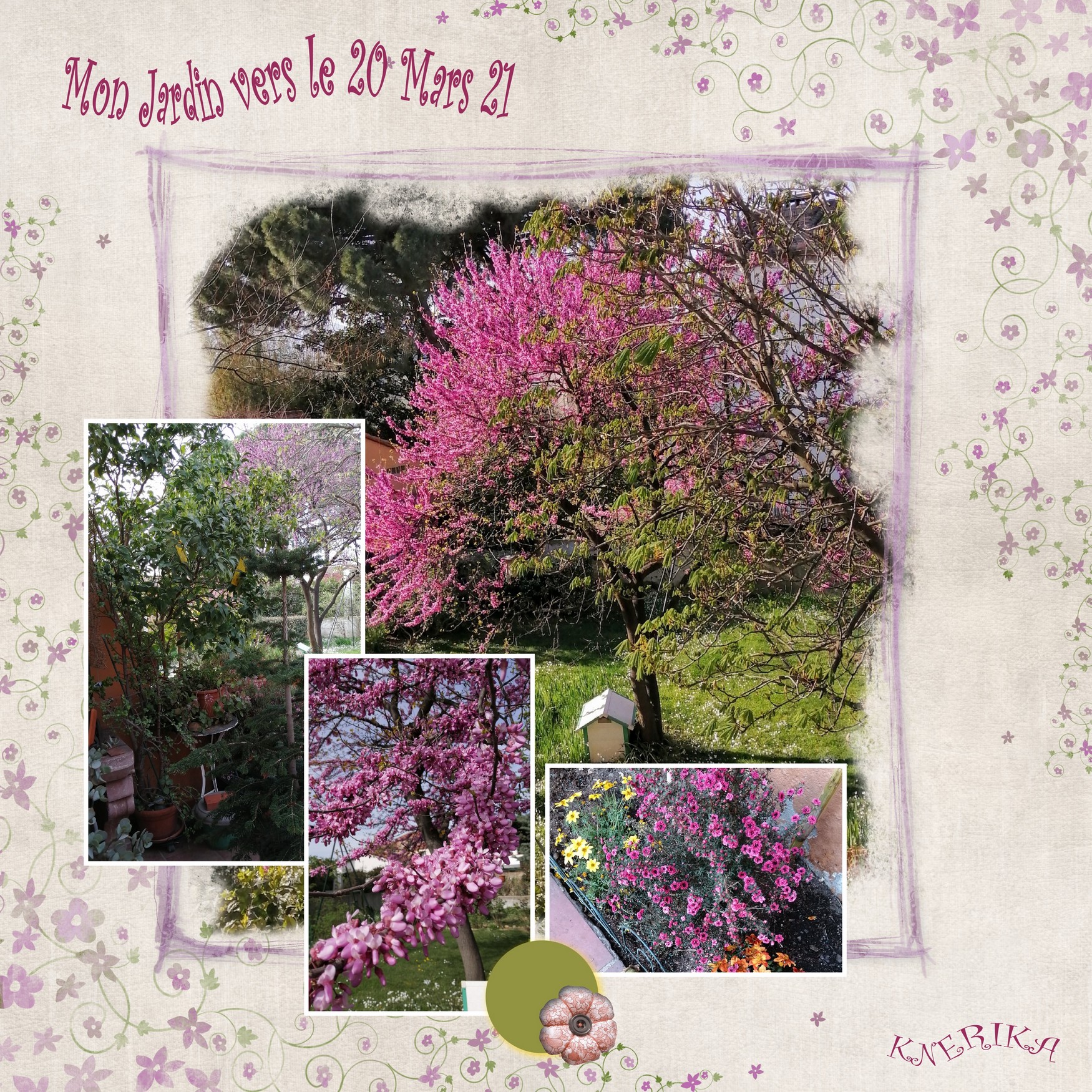 mon jardin vers le 20 mars_Anne Marie.jpg