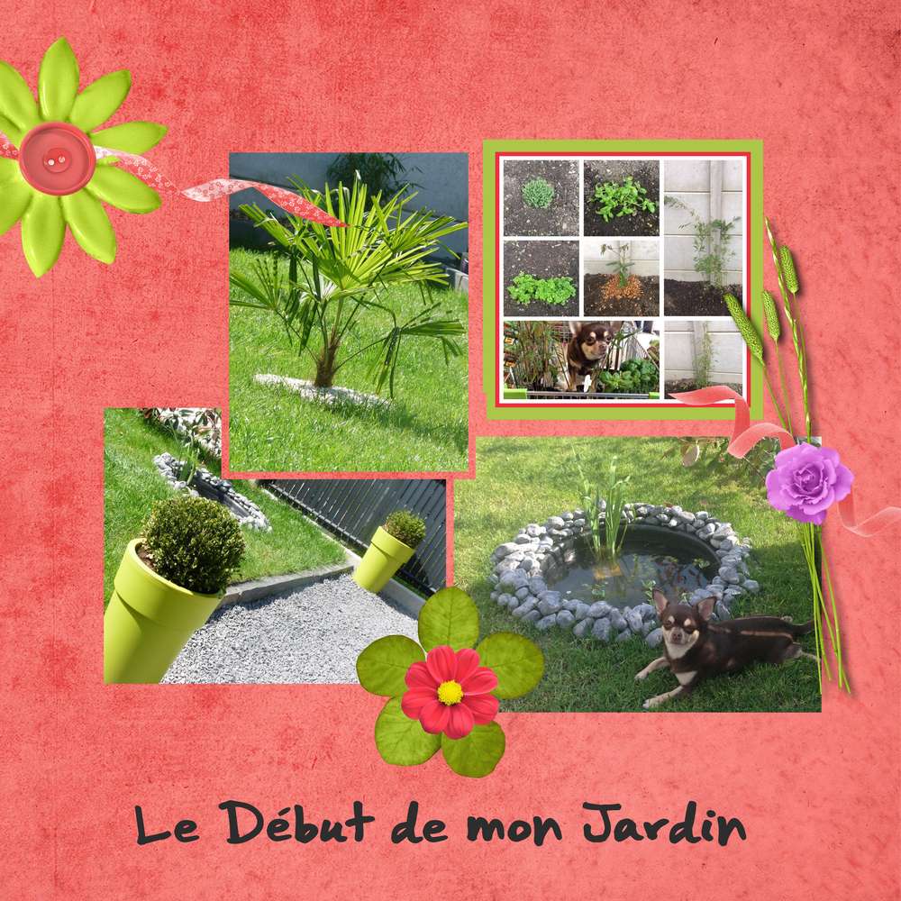 Mon Jardin