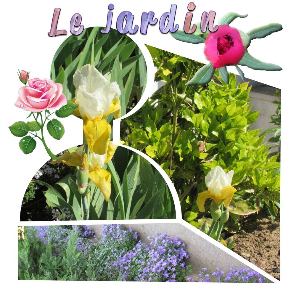 mon jardin