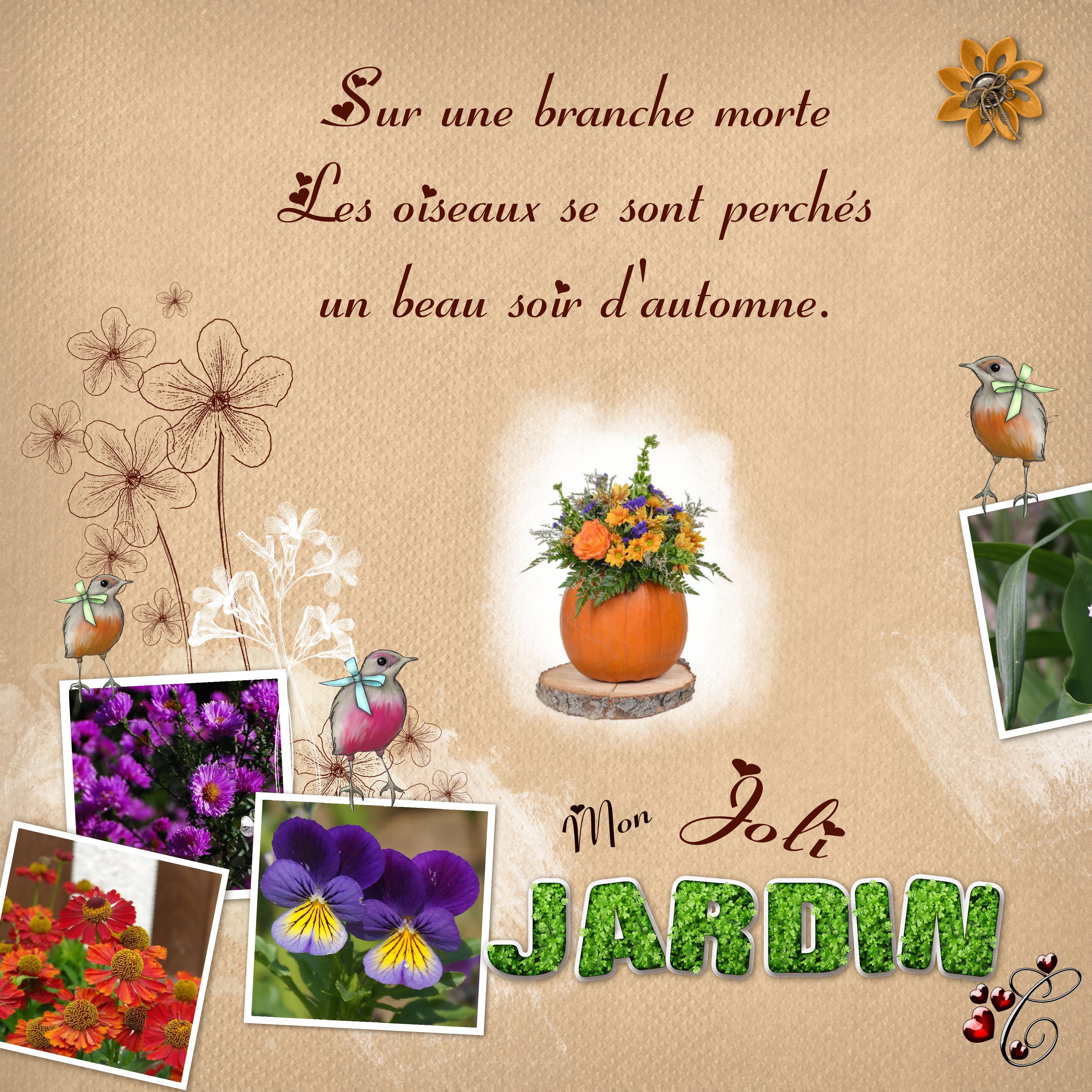 -mon-joli-jardin Christine.jpg