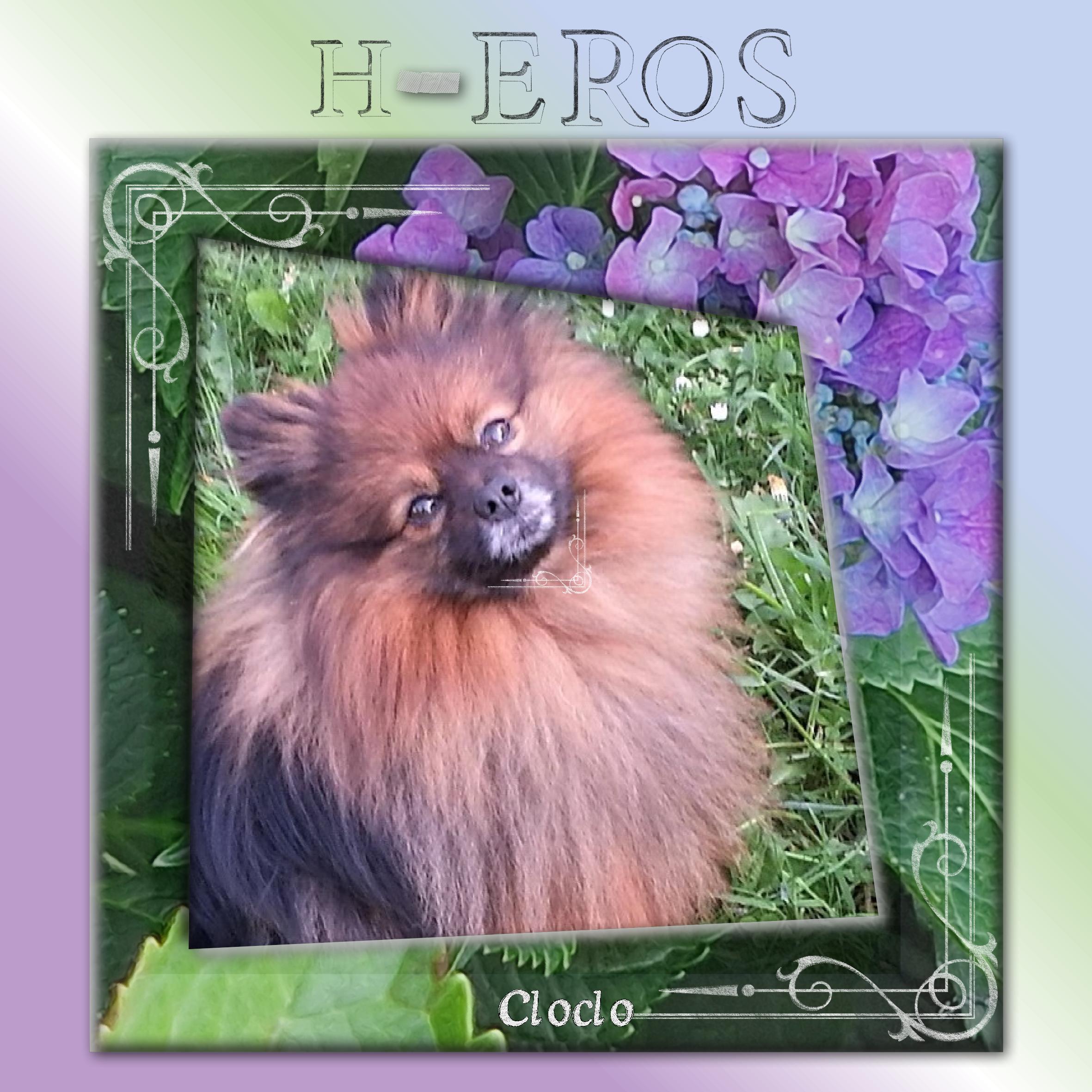 Mon petit H-EROS.jpg