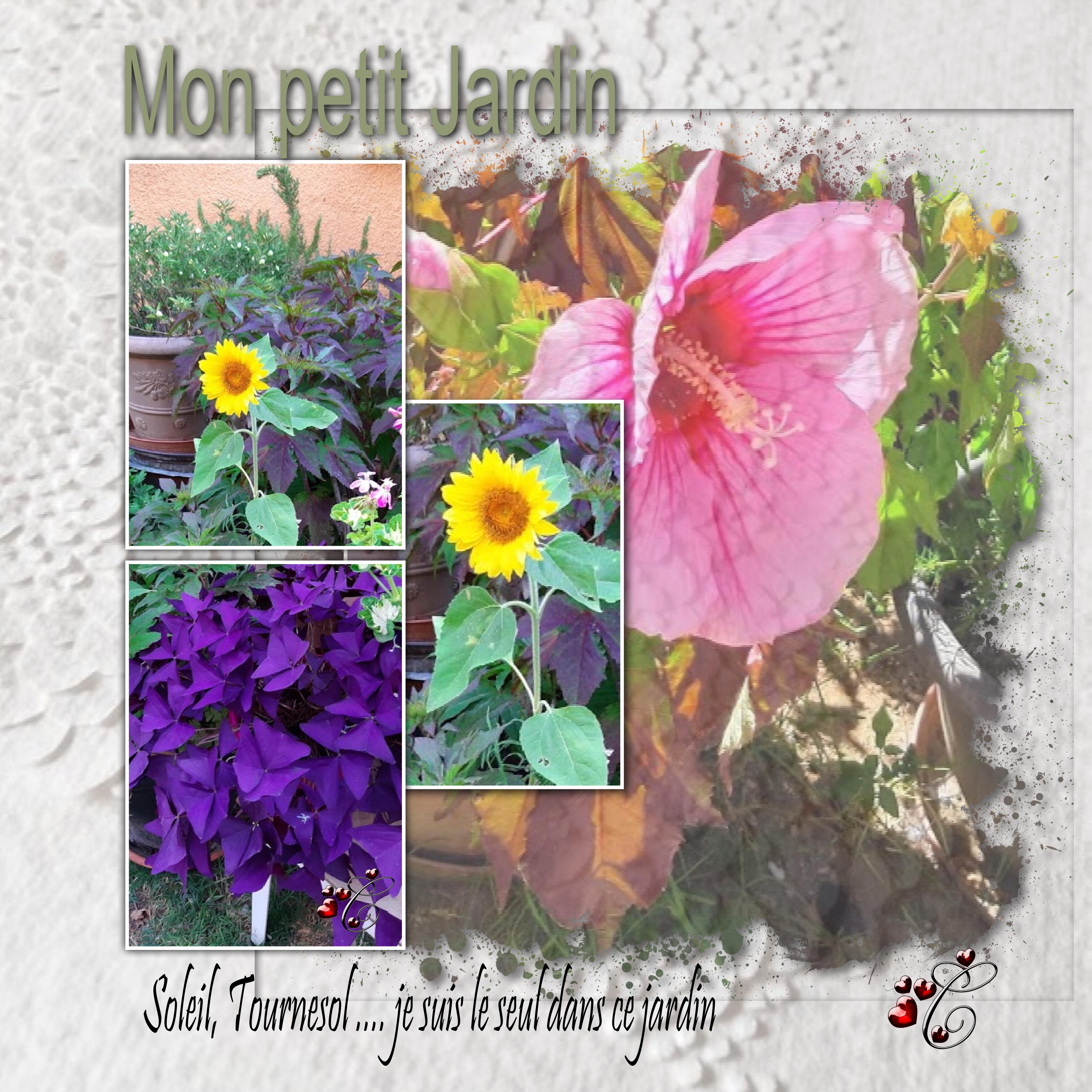 mon petit jardin.jpg
