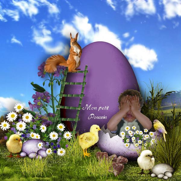 MON PETIT POUSSIN