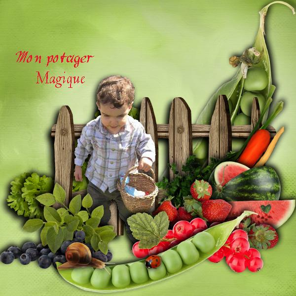 MON POTAGER MAGIQUE