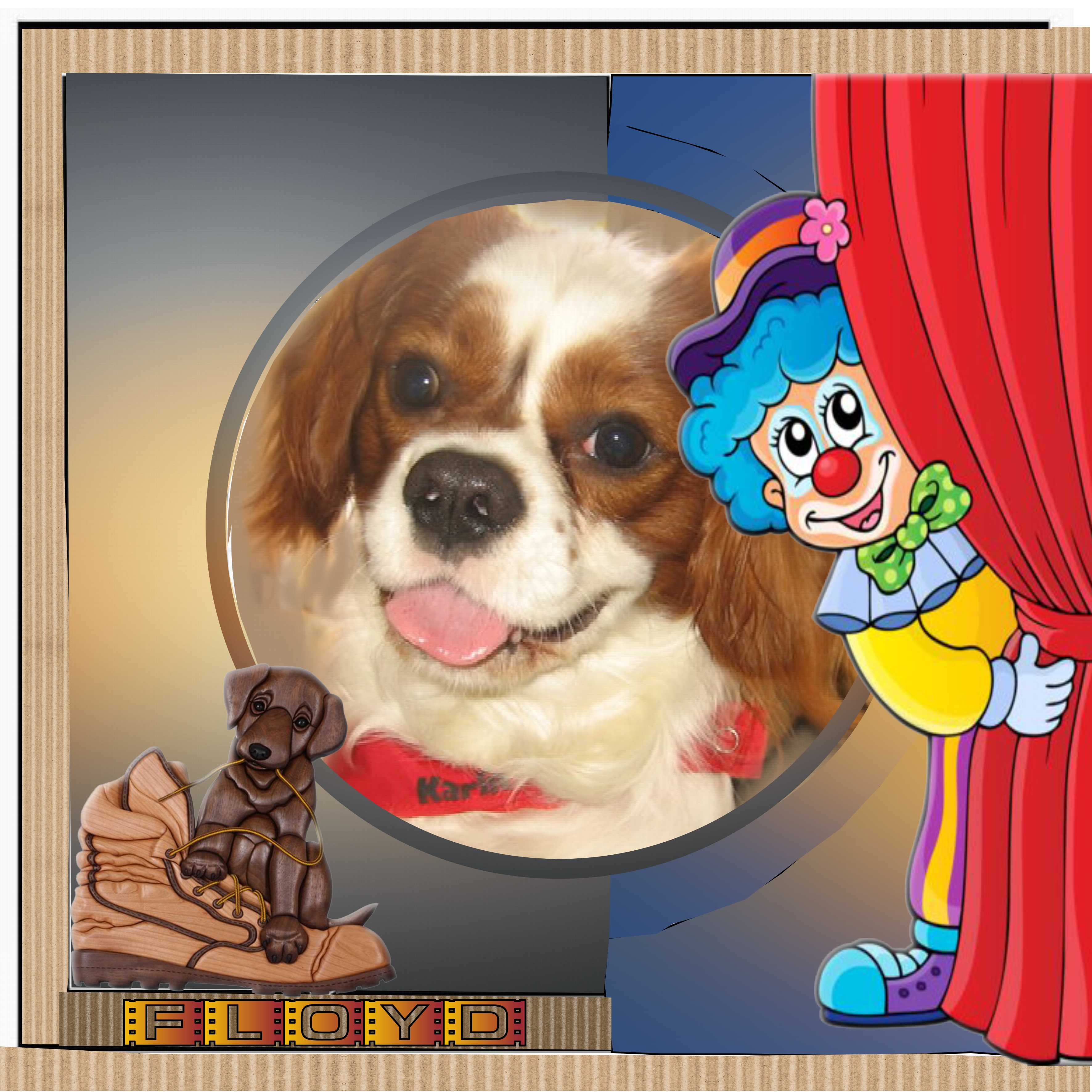 mon ptit floyd (page 1).jpg