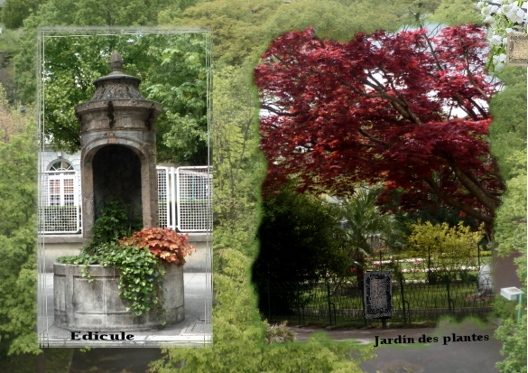 Mon quartier cet après midi.