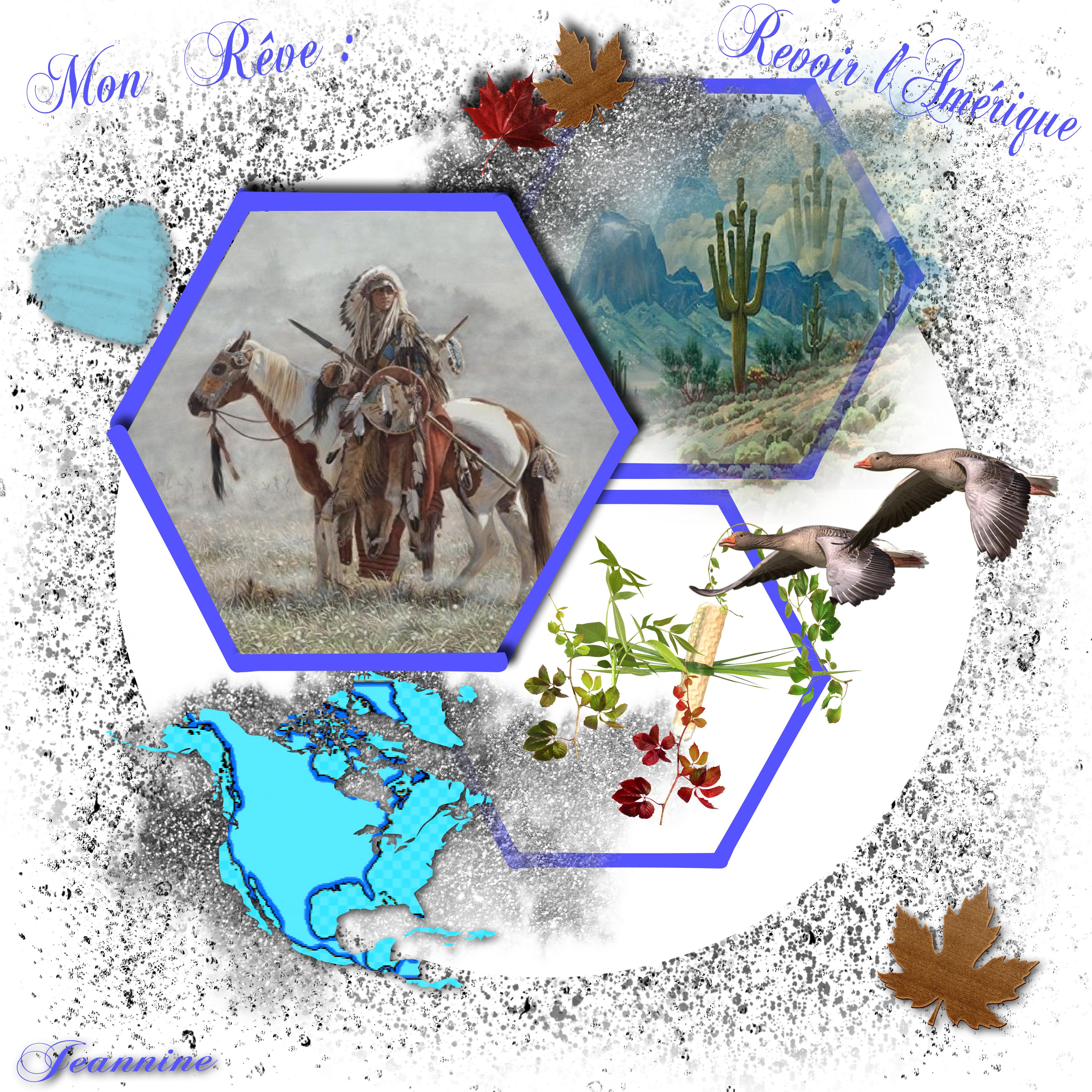 Mon Rêve Revoir l'Amérique  Jeannine
