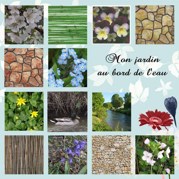 mon_jardin_au_bord_de_l_eau