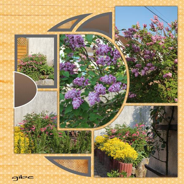 mon_petit_coing_fleuri