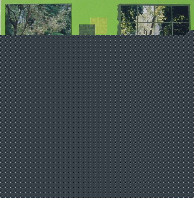 Monastère de la Piedra 2