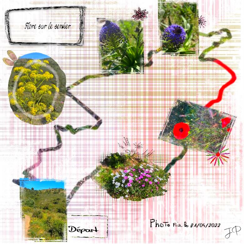 monde du scraap .jpg