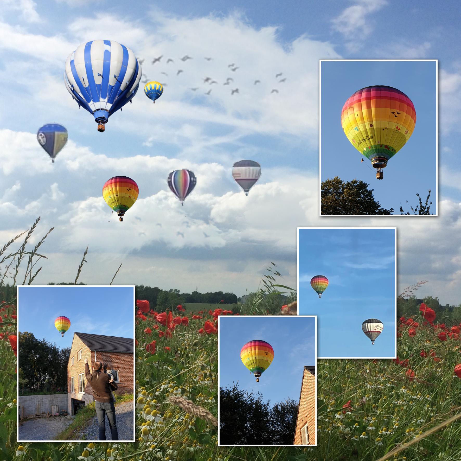 mongolfières.jpg