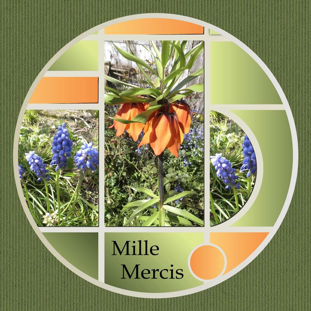 MONIQUE (MONIKK) - MILLE MERCIS