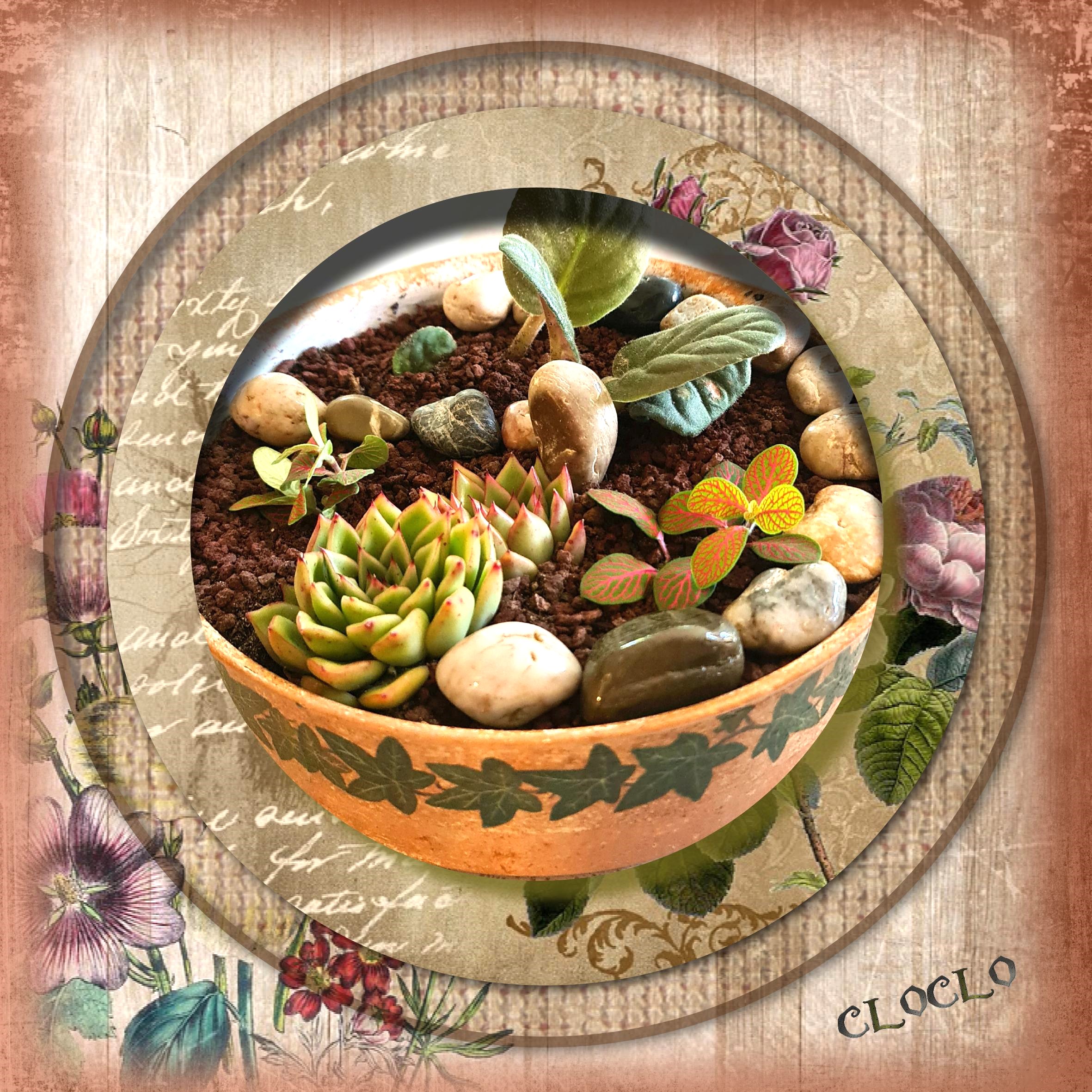 Montage du 8 juillet 2022.jpg