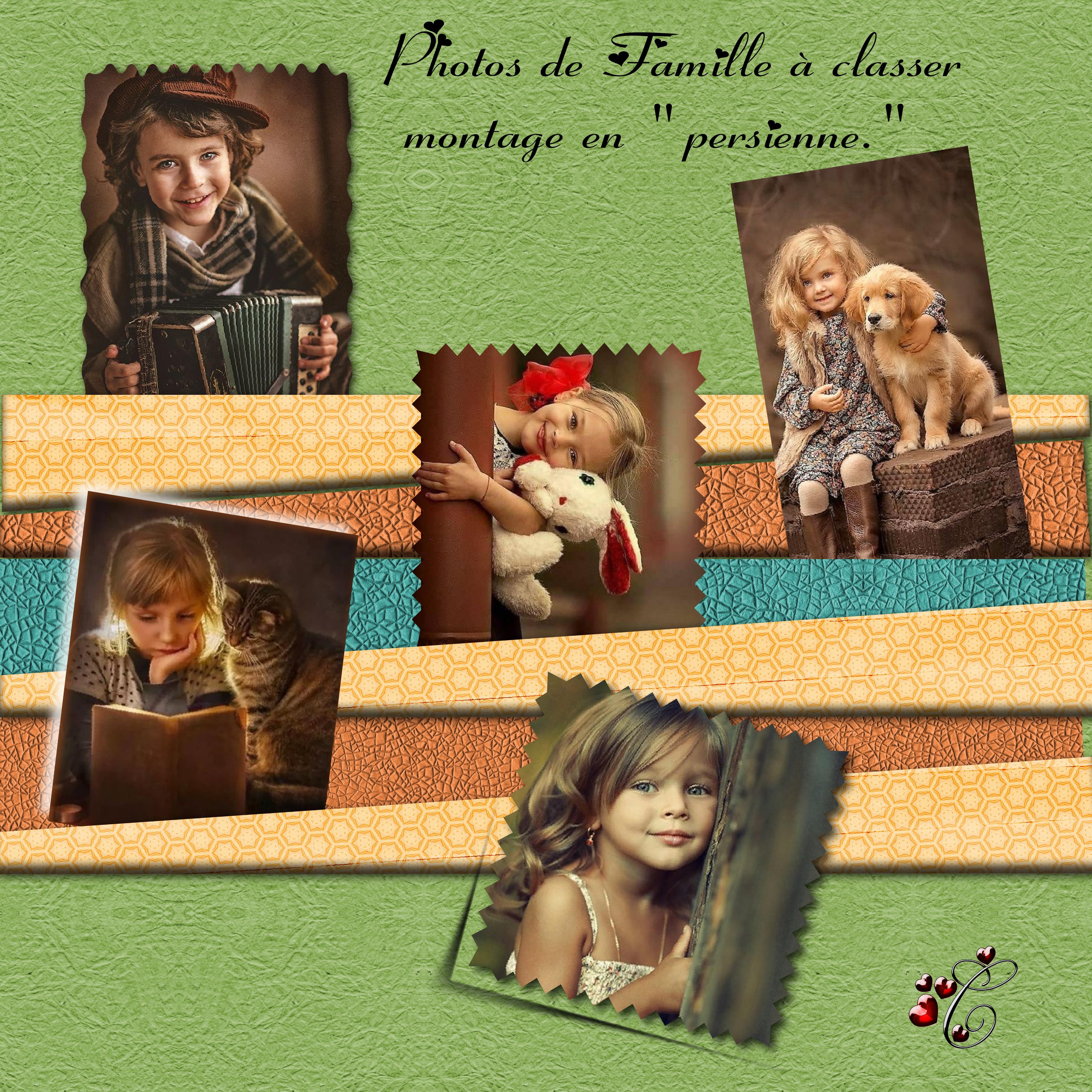 montage en persienne .jpg