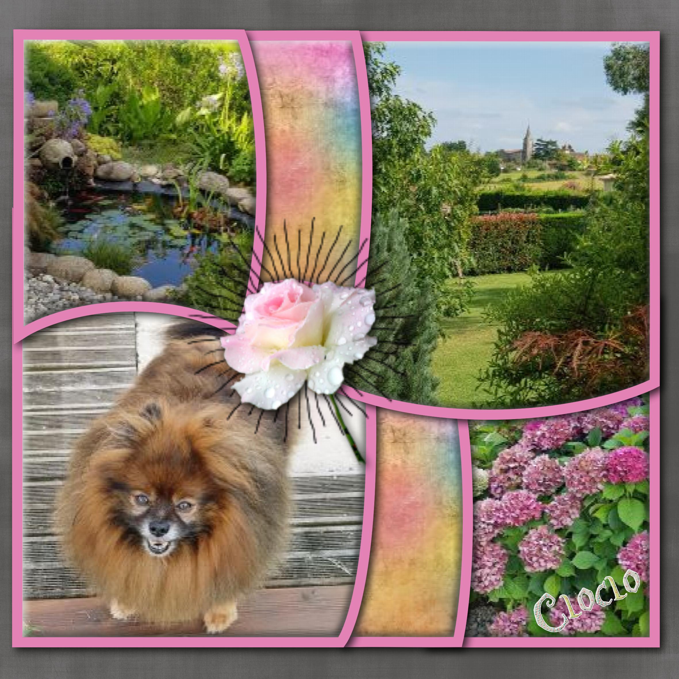 Montage photos du jardin et H-EROS.jpg