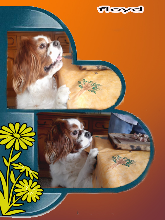 montagz su 4 5 2024.jpg