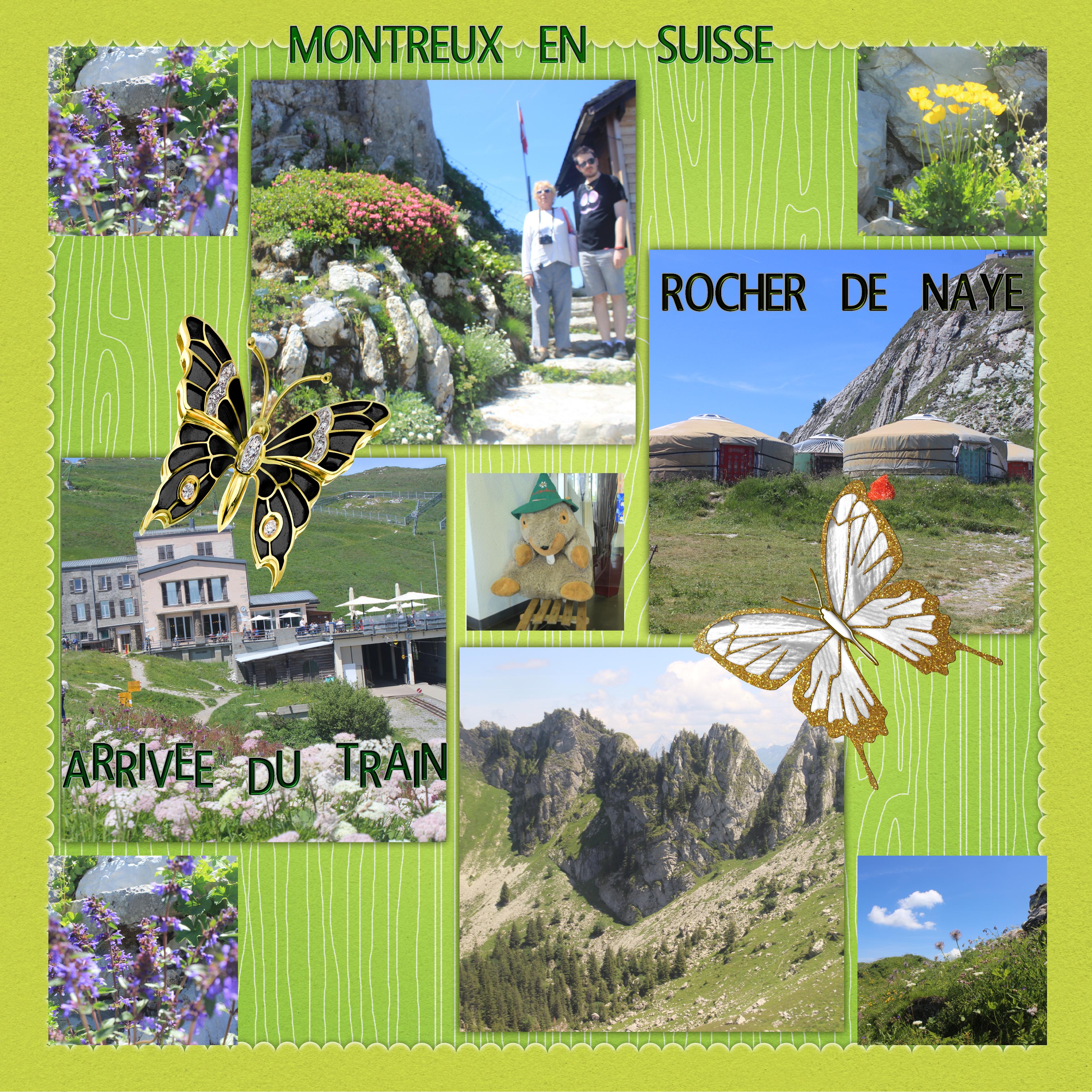 montreux rocher de Naye page 2.jpg