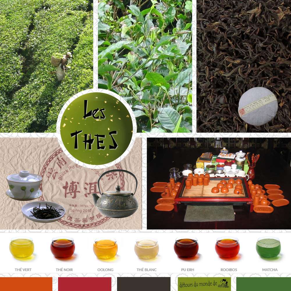 Moodboard - Défi Martinas