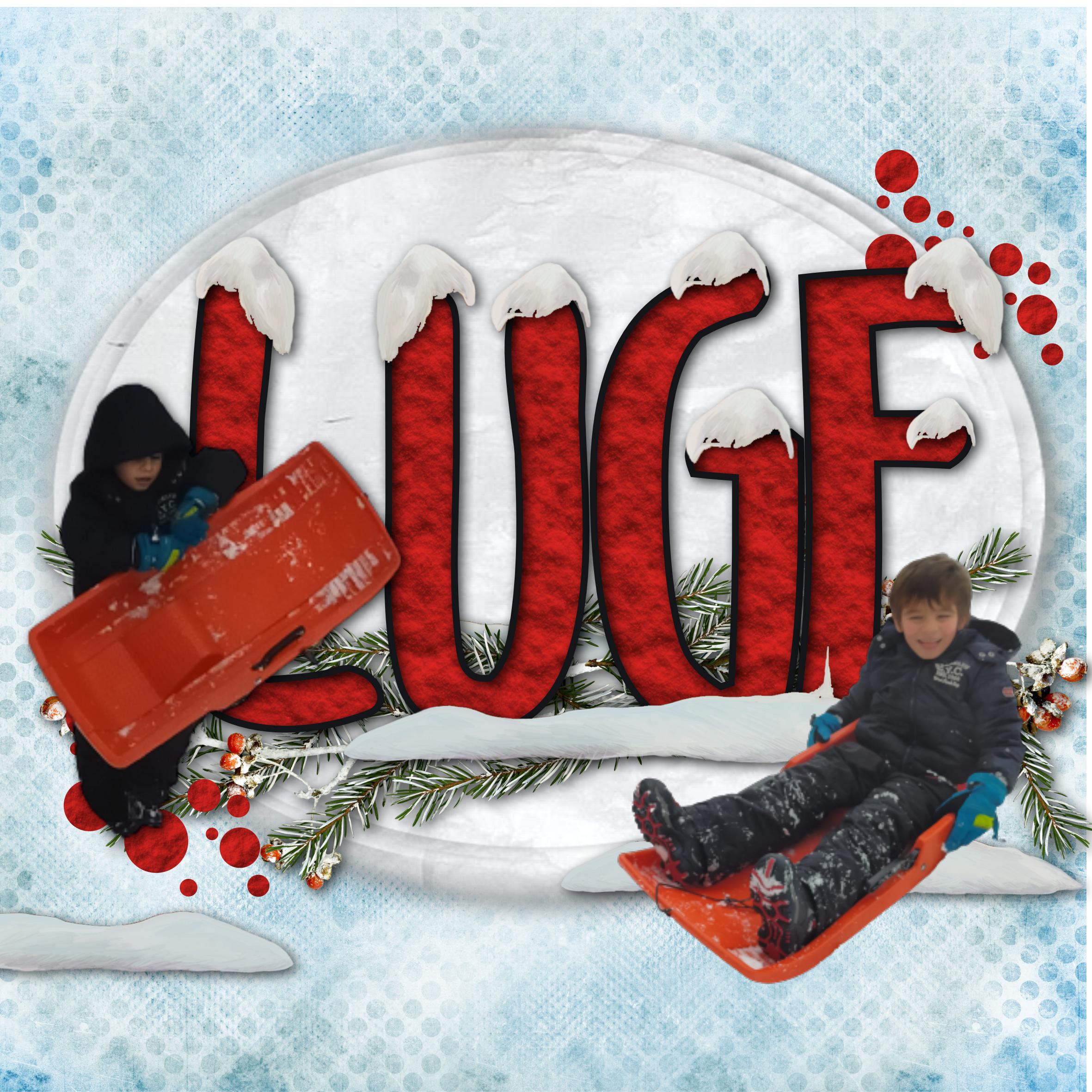 MORGAN   DANS LA NEIGE .jpg