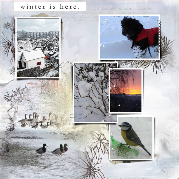 Morlaix et sa région sous la neige...