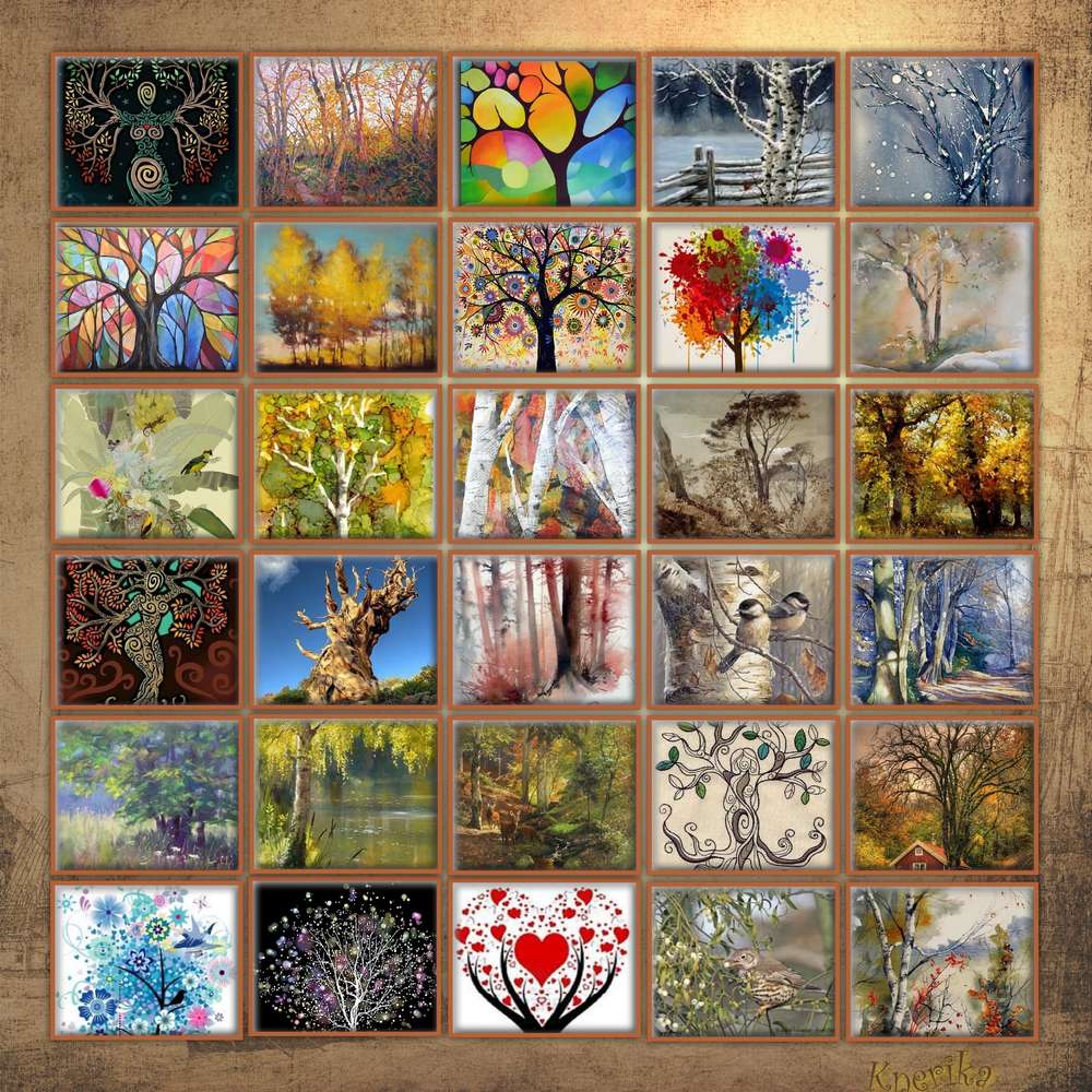 mosa__que_arbres_du_10-02-19_OK