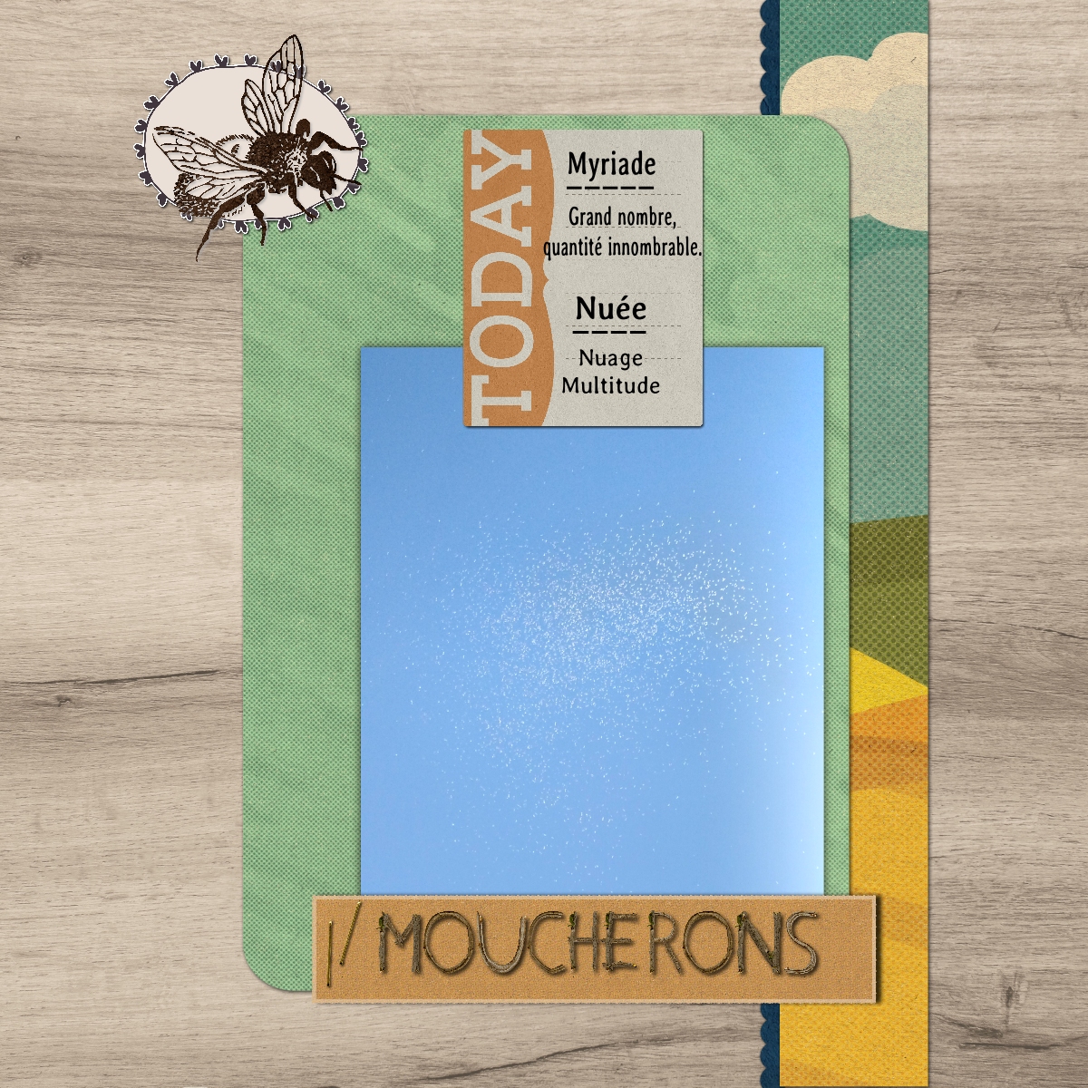 moucherons.jpg