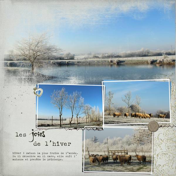 moutons