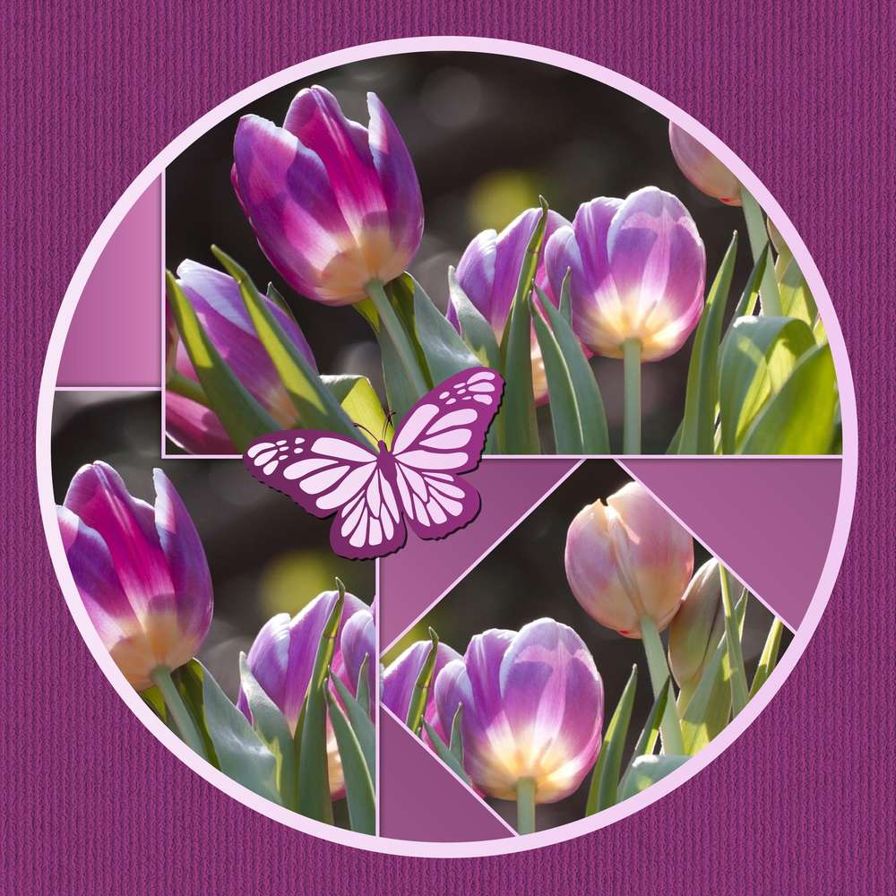 MOYSON - JOYEUX ANNIVERSAIRE