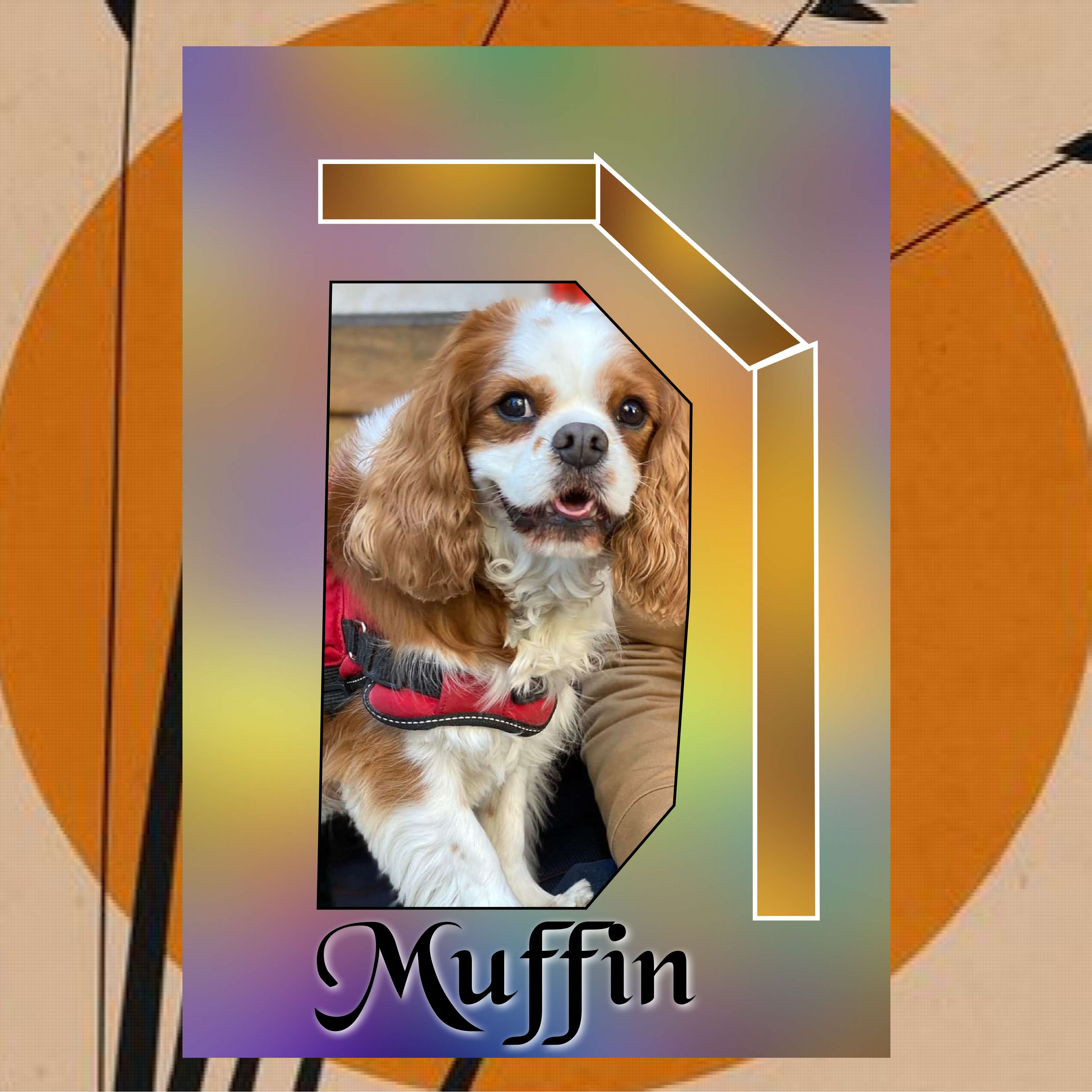 MUFFIN.jpg