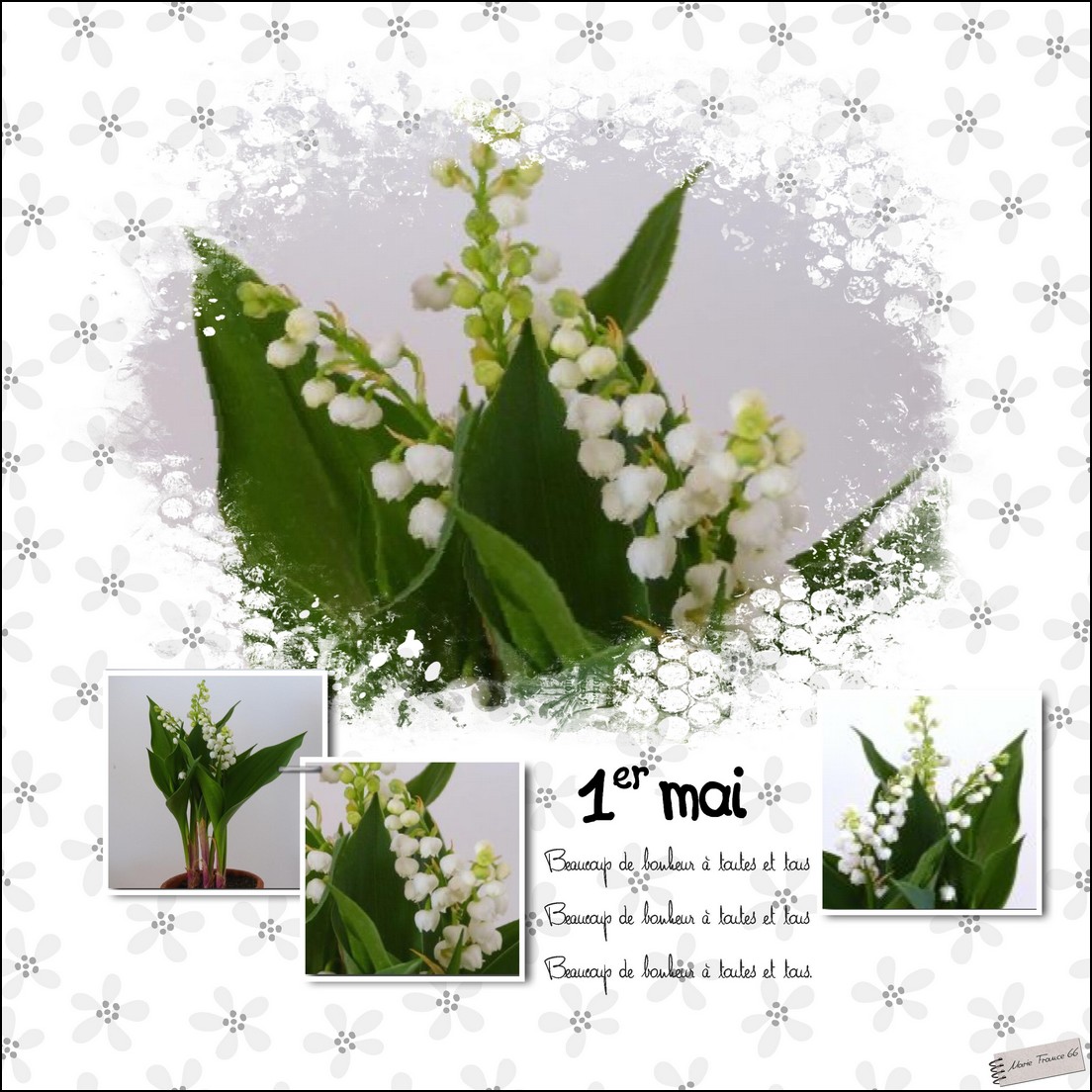 muguet 1 er mai 21.jpg