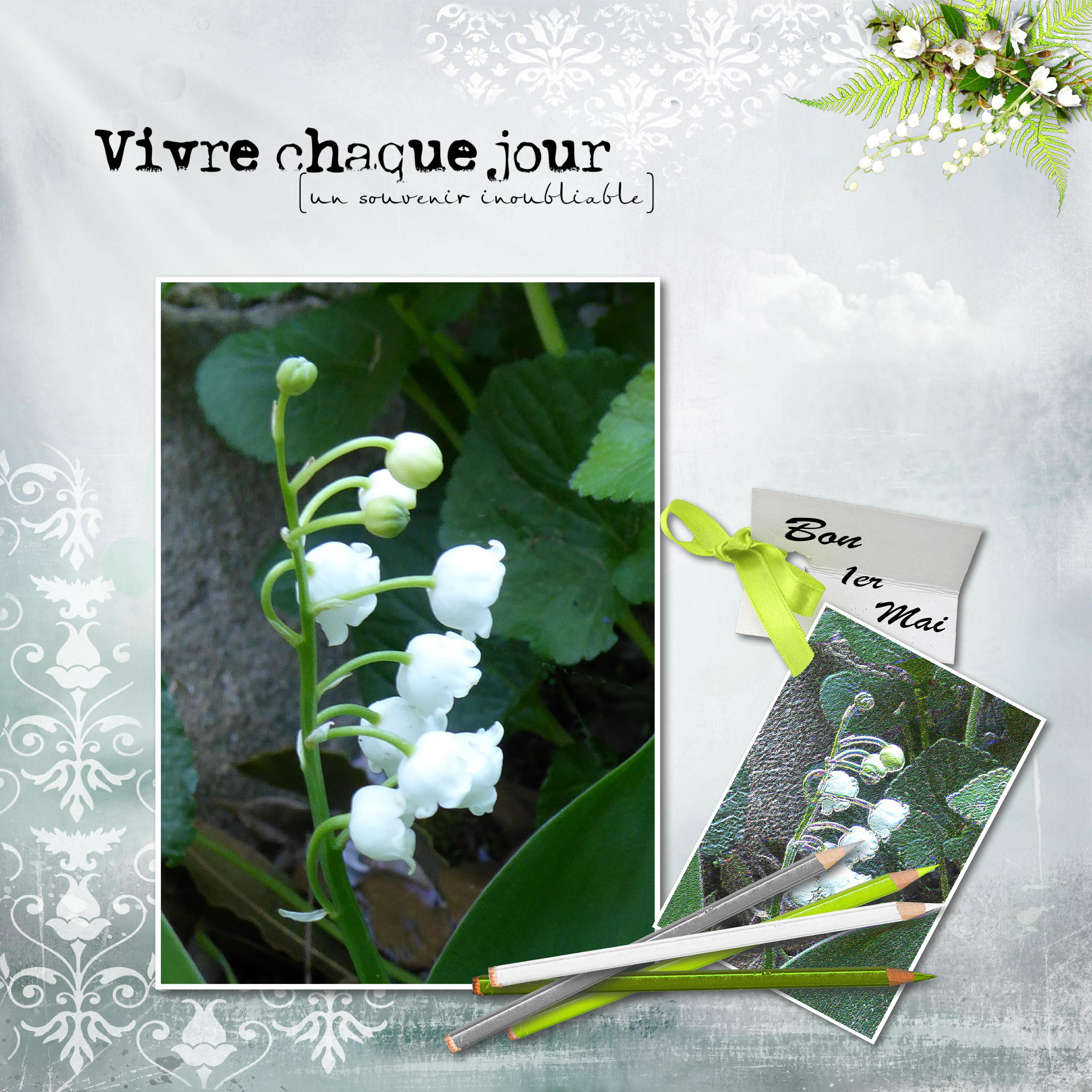 Muguet 1er mai 2026.jpg