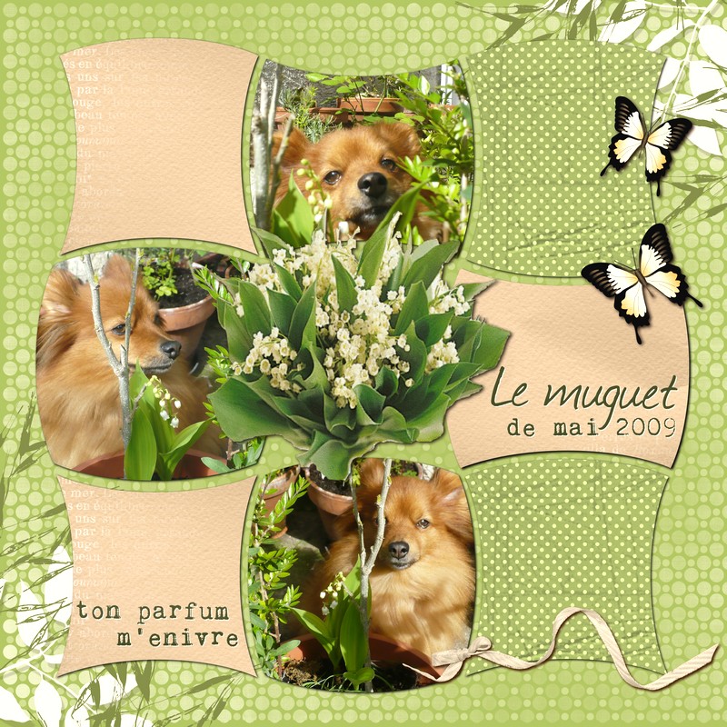 Muguet défi