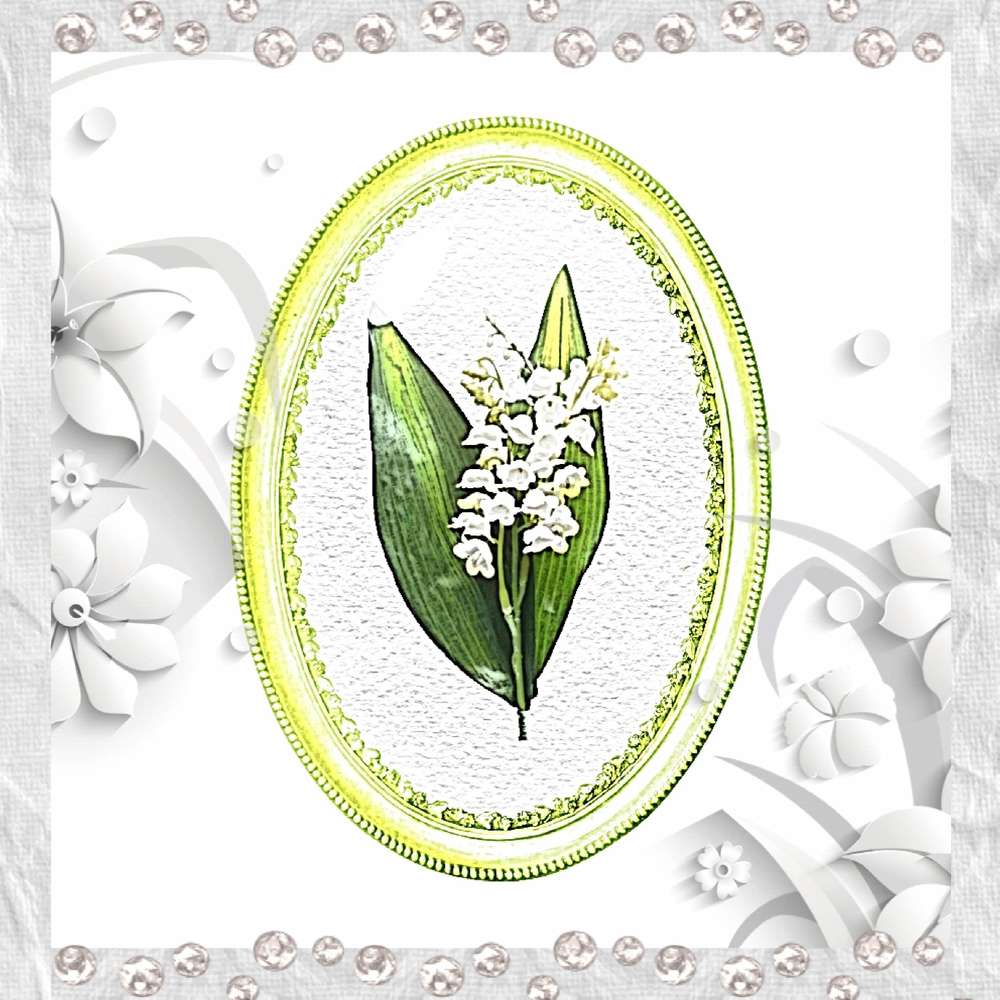 Muguet