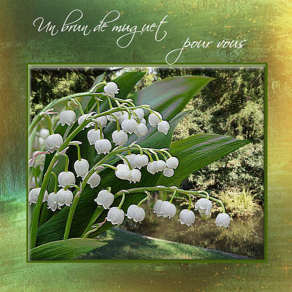 Muguet