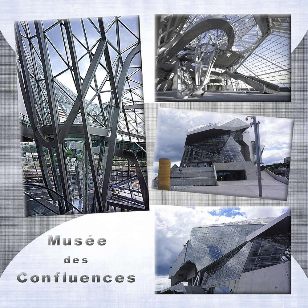Musée des Confluences 2