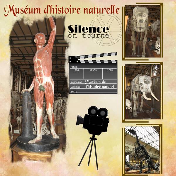 Muséum d'histoire naturelle