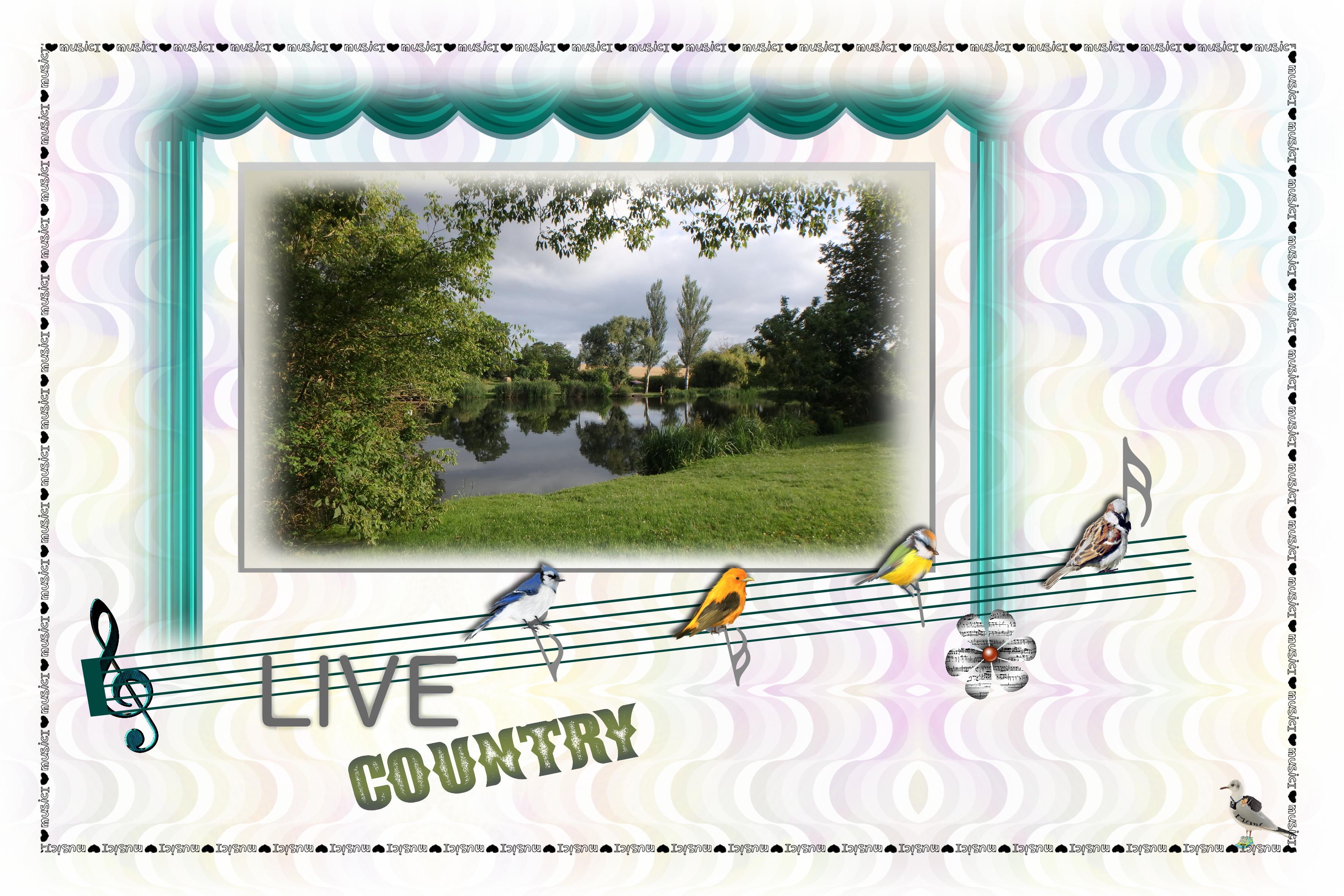 musique-live country-3juillet.jpg