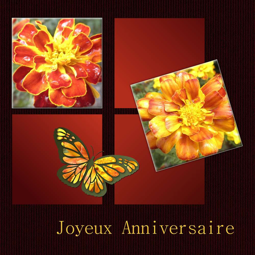 MUTTIDESASKI - JOYEUX ANNIVERSAIRE