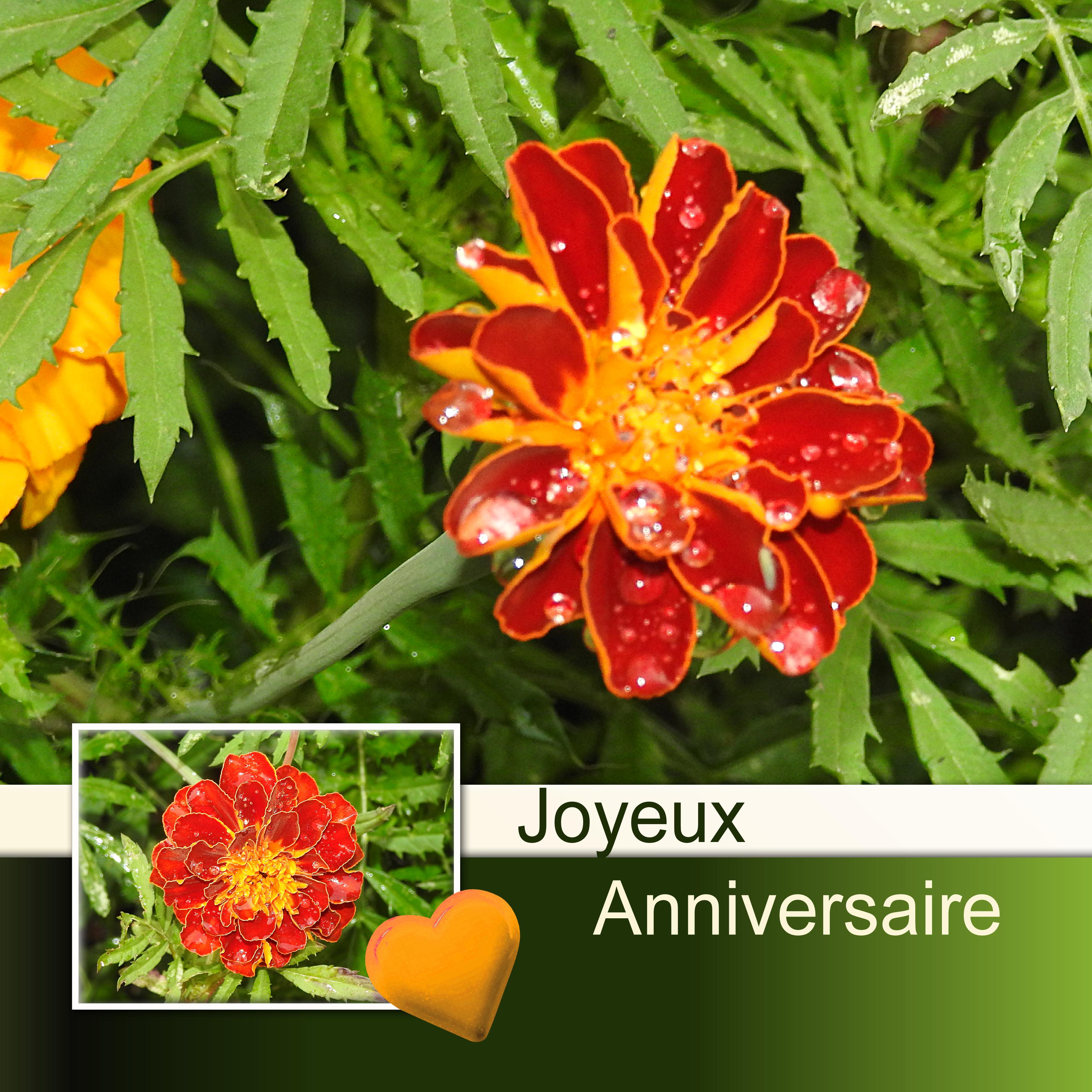 MUTTIDESASKI - JOYEUX ANNIVERSAIRE