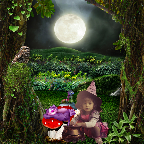 mystical night de didine desings