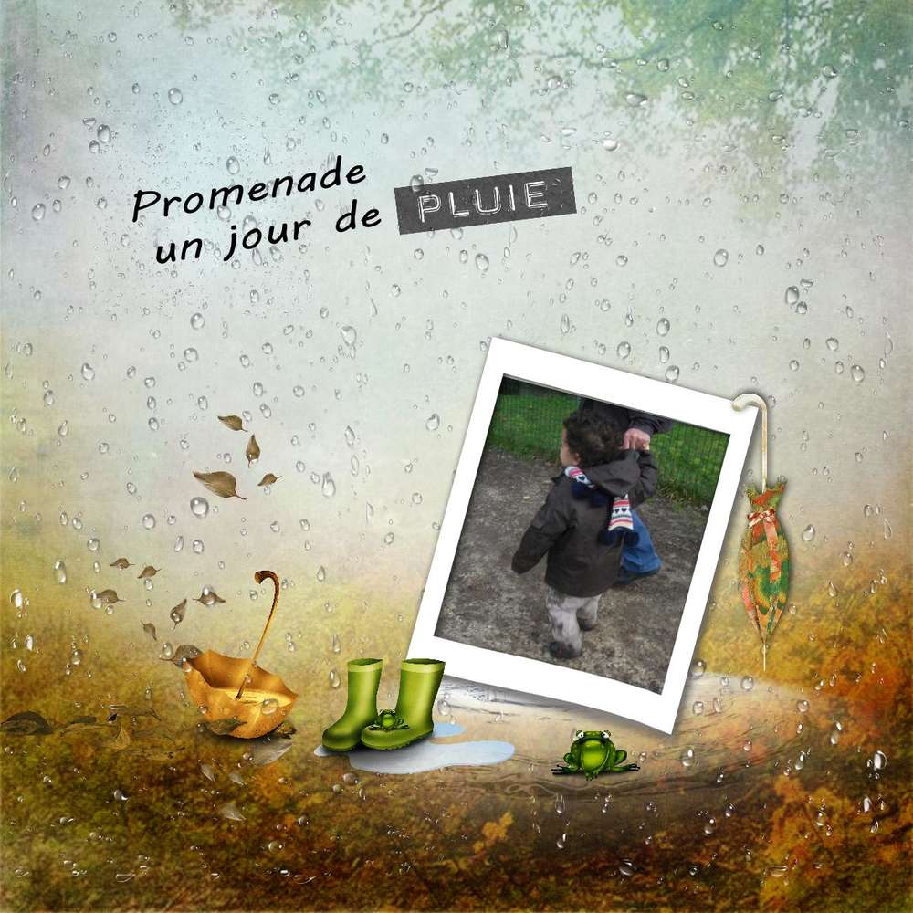 n° 17 promenade