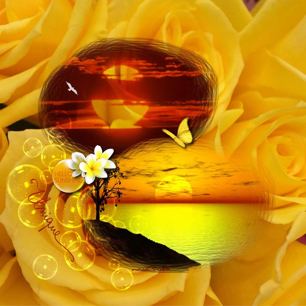 N18_jaune_du_18-10-19