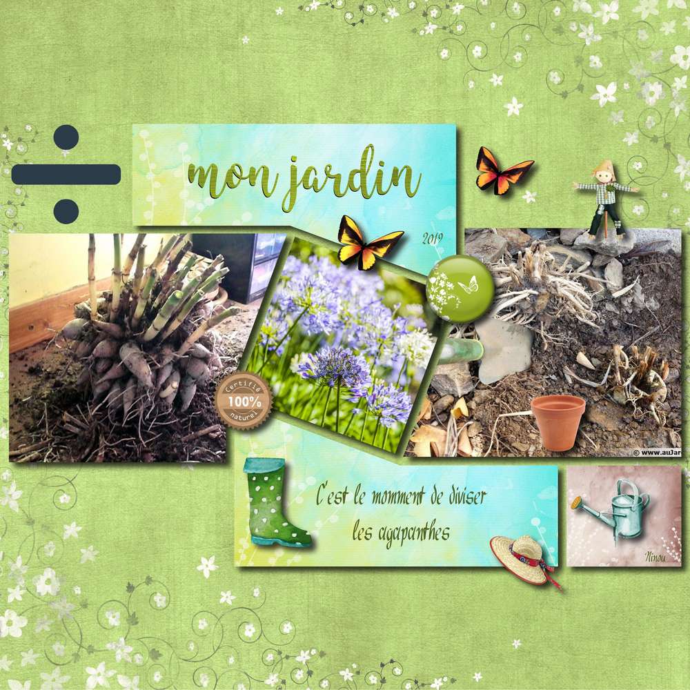 N3_diviser_du_02-10-19