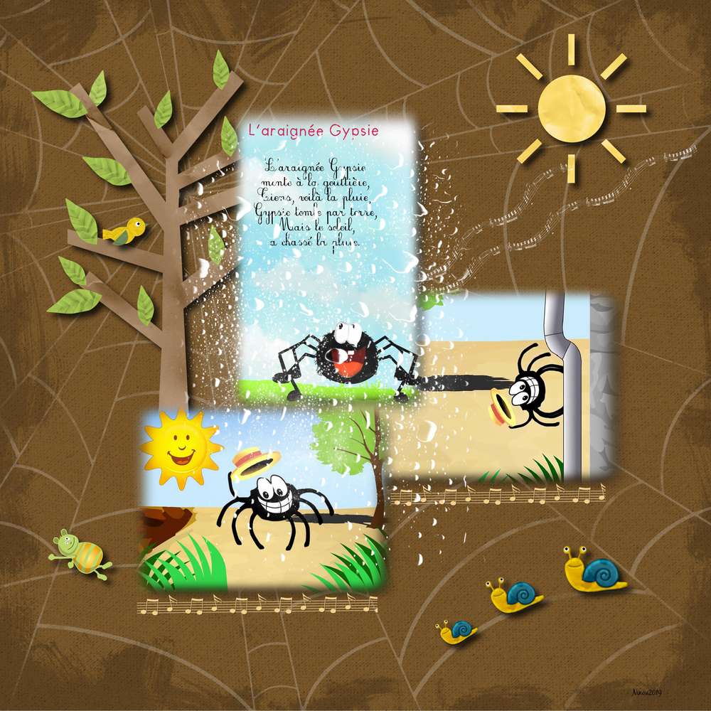 N6_araign__e_du_04-10-19